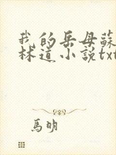我的岳母苏沛真林道小说txt
