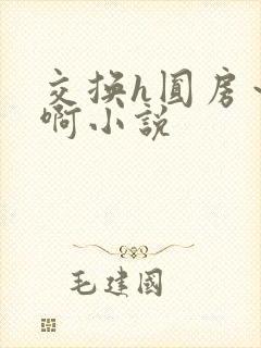 交换h圆房～嗯啊小说