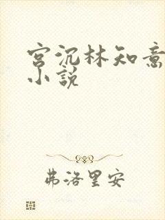 宫沉林知意正版小说