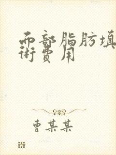 面部脂肪填充手术费用