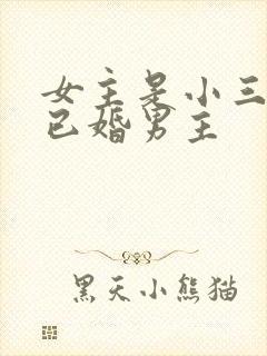 女主是小三勾搭已婚男主封面
