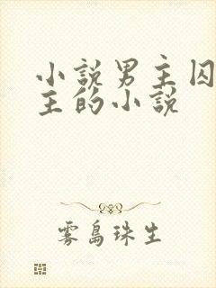 小说男主囚禁女主的小说