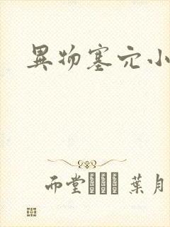 异物塞穴小说封面