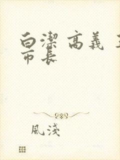 白洁 高义 王市长