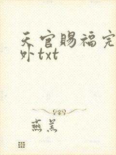 天官赐福完整番外txt封面