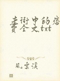 老街中的痞子免费全文txt