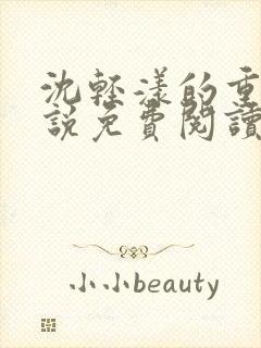 沈轻漾的重生小说免费阅读全文无弹窗封面