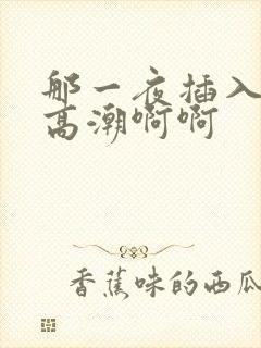 那一夜插入少妇高潮啊啊