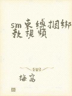 sm束缚捆绑调教视频