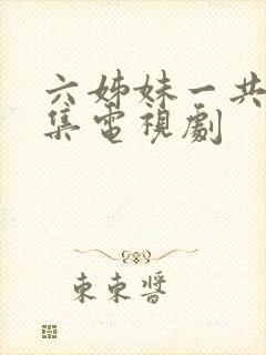 六姊妹一共多少集电视剧