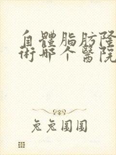 自体脂肪隆胸手术哪个医院好封面