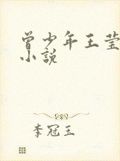 曾少年王莹同人小说封面