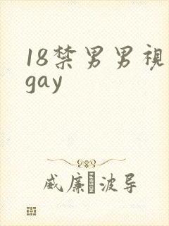 18禁男男视频gay
