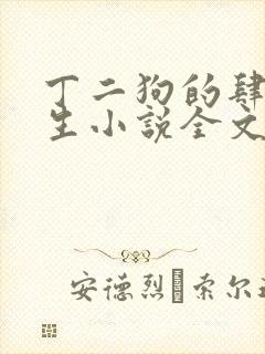 丁二狗的肆意人生小说全文无删减