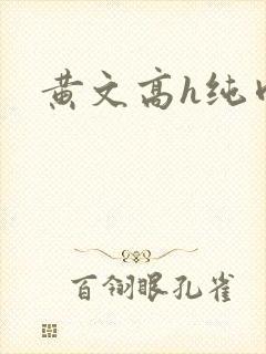 黄文高h纯肉