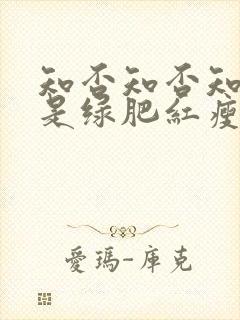 知否知否知否应是绿肥红瘦讲的是什么