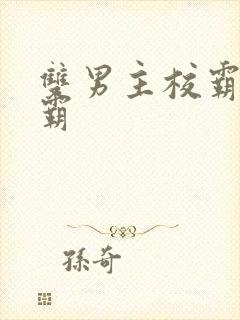 双男主校霸和学霸