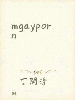 mgayporn封面