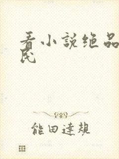 看小说绝品小农民