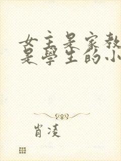 女主是家教男主是学生的小说