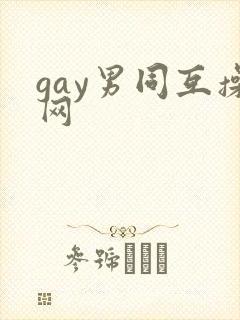gay男同互操网