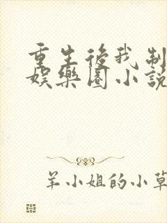 重生后我制霸了娱乐圈小说