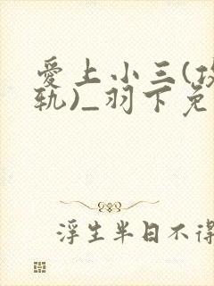 爱上小三(攻出轨)_羽下免费阅读小说