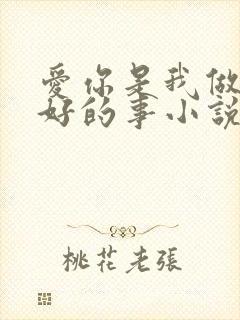 爱你是我做过最好的事小说免费封面