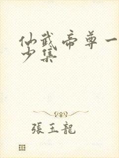 仙武帝尊一共多少集