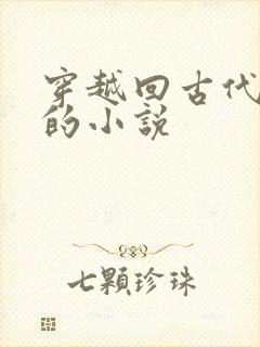 穿越回古代科举的小说封面