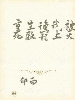 重生后我被渣男死敌宠上天