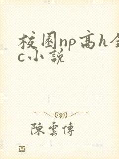 校园np高h全c小说