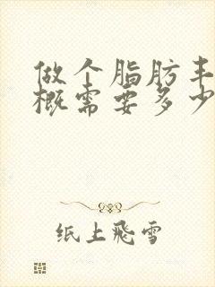 做个脂肪丰胸大概需要多少钱