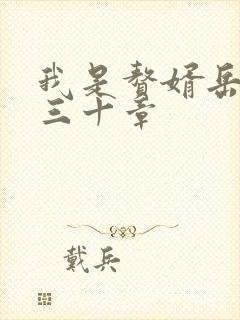 我是赘婿岳风第三十章封面