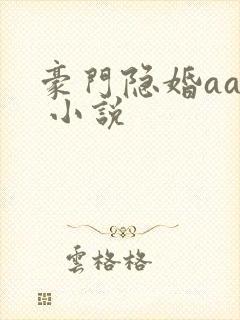 豪门隐婚aa制 小说