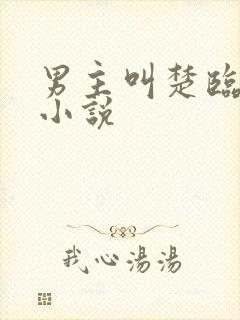 男主叫楚临渊的小说