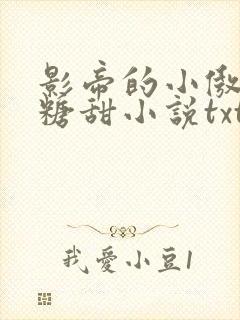 影帝的小傲娇比糖甜小说txt封面