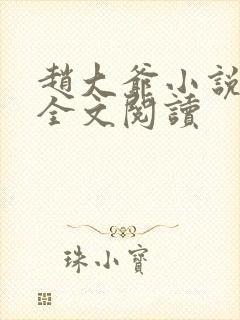 赵大爷小说沈婷全文阅读