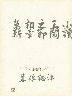 万相之王小说最新章节阅读全文封面