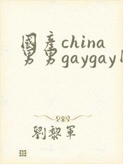 国产china男男gaygay网站