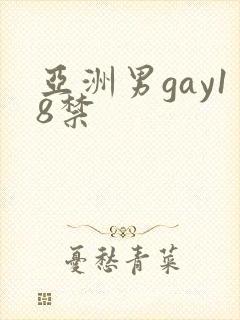 亚洲男gay18禁