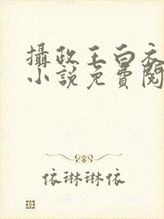 摄政王白衣若雪小说免费阅读封面