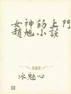 女神的上门豪婿赵旭小说