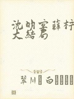 沈明宴薛柠林菀大结局