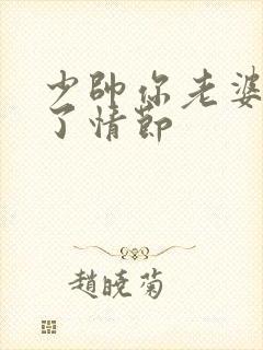 少帅你老婆又跑了情节封面