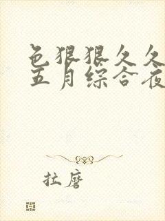 色狠狠久久av五月综合夜夜嗨