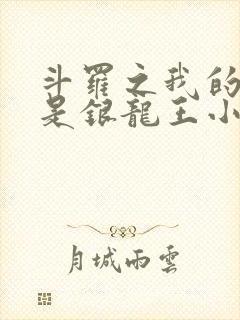 斗罗之我的老婆是银龙王小说免费阅读