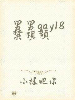 男男gay18禁视频