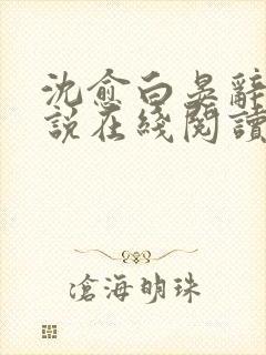 沈愈白晏辞的小说在线阅读