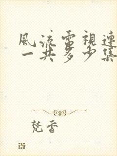 风流电视连续剧一共多少集